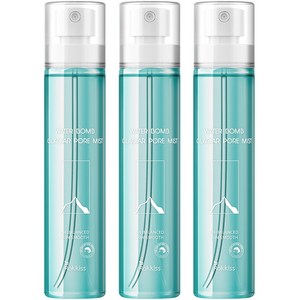 록키스 워터밤 빙하수 모공 미스트, 3개, 100ml