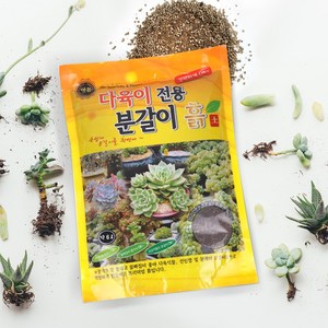 거목산업사 명품 다육이 전용 분갈이 흙 6L 이 제품 하나로 끝, 1개, 3L