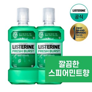 리스테린 후레쉬 버스트 구강청결제, 750ml, 2개