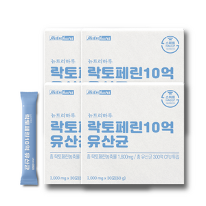 뉴트리하루 락토페린 10억 유산균 장용 고농축 2000mg, 60g*4팩 25%추가할인, 4개, 60g