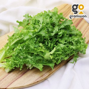 치커리 4KG 쌈채소 모듬쌈 샐러드 야채, 1개