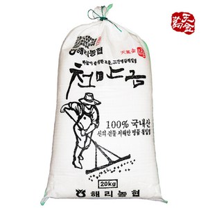 천만금 해리농협 23년산 고창 갯벌 천일염, 20kg, 1개