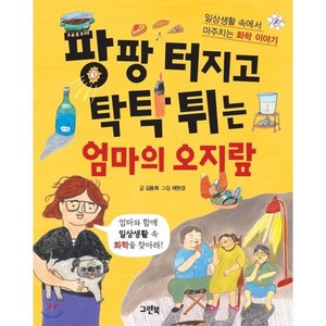 팡팡 터지고 탁탁 튀는 엄마의 오지랖:일상생활 속에서 만나는 화학 이야기, 그린북