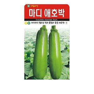 마디 애호박 씨앗, 1개