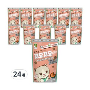 캐츠랑 저요저요 고양이 보양간식, 연어, 60g, 24개