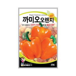 세계종묘 까미오오렌지 파프리카씨앗 20립, 1개