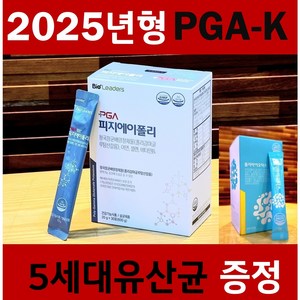 [PGA-K공식판매처] 4중복합 PGA-K (유산균증정) 성모병원임상 NK세포활성 식약처인증 면역강화제, 600g, 1개