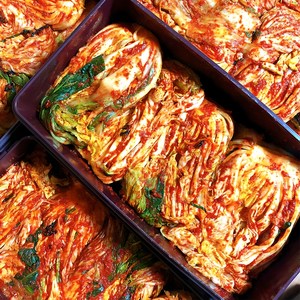 [HACCP] 맛깔스런 당일제조 신선 생김치, 20kg, 1개