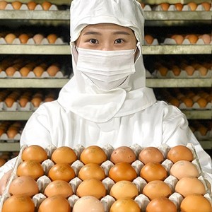 전라도청년 하루에 두번구운 HACCP인증 구운계란 훈제란 30구 무료배송+핑크솔트증정, [파손보장] 정직한 구운계란 90구 중란, 1개