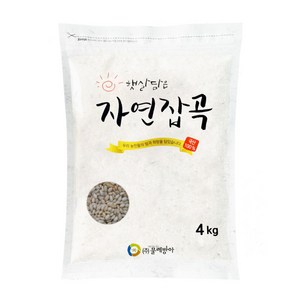 국산 찰현미 4kg, 1개