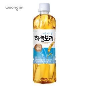 웅진 하늘보리, 500ml, 12개