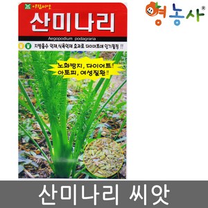 산미나리씨앗 400립 번들, 1개