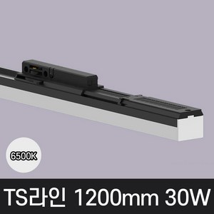 LED T라인 레일조명 트랙등 티라인 1200mm, 예도 TS라인 블랙바디, 30w 1200mm, 주광색 흰빛 6500K, 1개