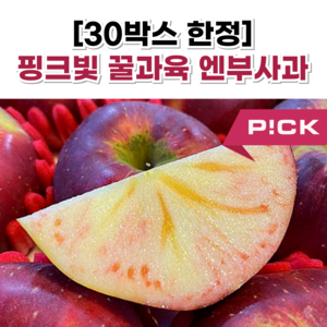 [핑크빛꿀사과] 초특급 꿀달달 엔부사과, 1개, 2kg