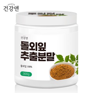 건강앤 돌외잎 추출분말 100% 300g 1통, 1개