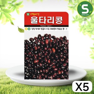 솔림텃밭몰 울타리콩씨앗 30g 울타리콩 재래종 콩씨 종자, 5개