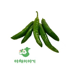 야채이야기 싱싱한 청양고추 1kg, 1개