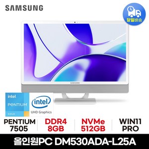 삼성 올인원PC DM530ADA-L25A 사무용 가정용 공간활용 일체형PC, WIN11 Po, 512GB, 8GB