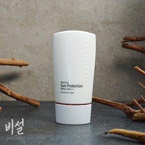 르네셀 앱솔루트 썬 프로텍션50g, 50g, 1개