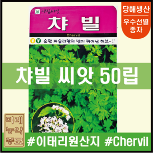 아람종묘 챠빌 씨앗 50립- 순한 파슬리향의 허브 이태리산 chevil seeds heb seeds 허브씨앗 식용허브, 1개