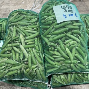 [대박농수산] 국내산 햇 완두콩 껍질있음 생콩 햇껍질완두콩 1kg 2kg 3kg 4kg, 1박스, 국내산 완두콩 특등급 3kg