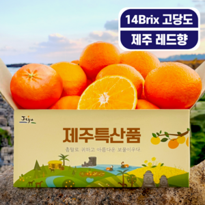 최고당도 제주 레드향 청정제주 레드향, 1박스, 5kg