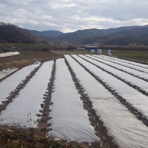 서리방지부직포 못자리부직포 냉해방지 마늘부직포 고추부직포 한랭사 한냉사 병충해방지 겨울작물 20g 폭1.8m 길이400m, 1개