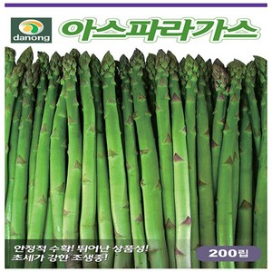 아스파라거스 씨앗 800립, 1개