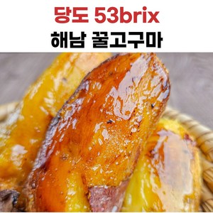 해남 황금꿀고구마, 5kg(한입), 1개