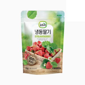 뉴뜨레 냉동딸기 무가당(홀) 중국산1kg 10개, 1kg