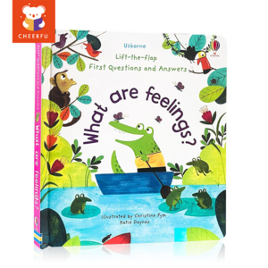 3D Usborne Books Lift-the-flap First Questions and Answers 그림 보드 책 뒤집기 키즈 유아 교육 이야기 판지, What Are Feelings?