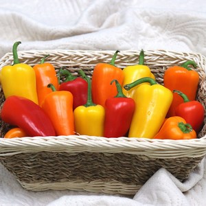 [당일출고] 농산물마루 미니 파프리카 500g 1kg 2kg 국내산 산지직송, 1박스, 500g(내외)