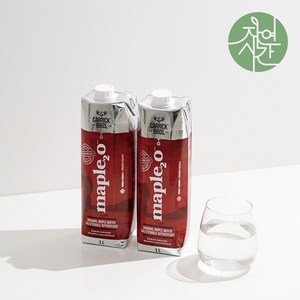 캐릭브로스 메이플워터 청정 캐나다산 고로쇠물, 1L, 12개