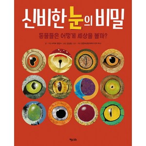 신비한 눈의 비밀:동물들은 어떻게 세상을 볼까?, 키다리