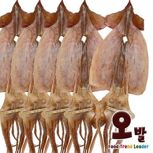 [오발] 국내산 마른오징어 5마리 x1봉, 250g, 1개