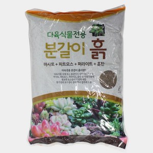 그린데이 다육 전용 분갈이 흙 다육 선인장 약10kg, 1개, 10kg