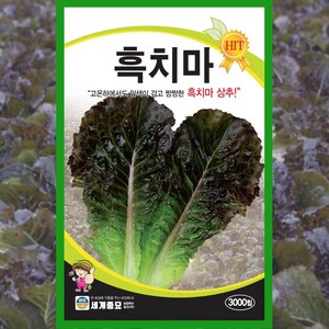 상추 씨앗 흑치마 3000립 흑색 쌈채소 종자, 1개