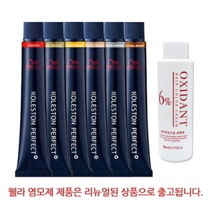 웰라 뉴 콜레스톤 염색약 + 산화제, 1개, 블랙_1/0