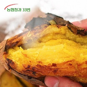 기타 농협청과33번 당도높은 꿀고구마 긴특/긴상, 1개