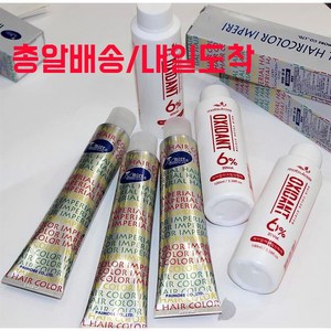 ( 주말배송/내일도착)) 파이모아 염색약+정품 마츠카제산화제100ml 6%포함, GM6 새치커버 염색약, 100ml, 1개