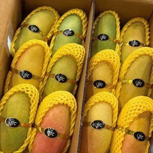 마하차녹 무지개 망고 2kg, 상세페이지 참조, 1개