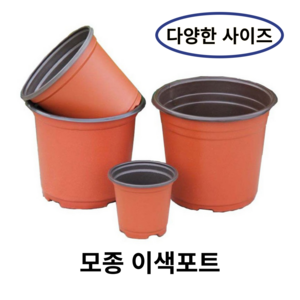 모종 화분 연질 이색포트 (10cm/15cm/18cm), 10개, 15화분