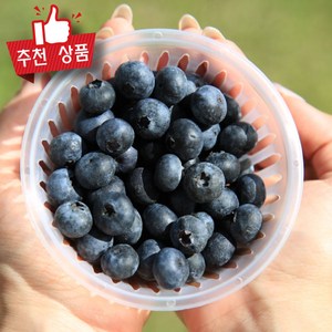 직수입 프리미엄 블루베리 생과 개별포장 생블루베리 대과, 2개, 100g