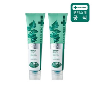 덴티스테 뉴 플러스화이트 치약, 160g, 2개