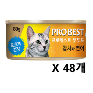 프로베스트 캣푸드 고양이 간식캔, 혼합맛(참치/연어), 80g, 48개