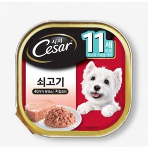 시저 반려견 주식캔 시니어 11세 이상 쇠고기, 100g, 8개