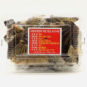 히레 복날개 지느러미 40g, 1개