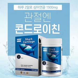 관절엔 콘드로이친 1500mg 호주 저분자 철갑상어 연골 뮤코다당 글루코사민 관절영양제, 6개월 (HOT 세일), 3개, 120정