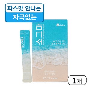 소그마 제주용암해수 소금 스틱 비건 가글 구강 청결제 잇몸 건강 휴대용 세트, 288ml, 1개