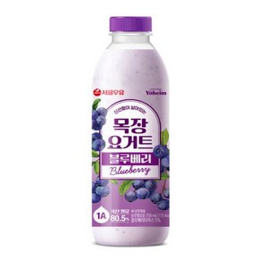 서울우유 블루베리 상큼 요구르트, 750ml, 2개